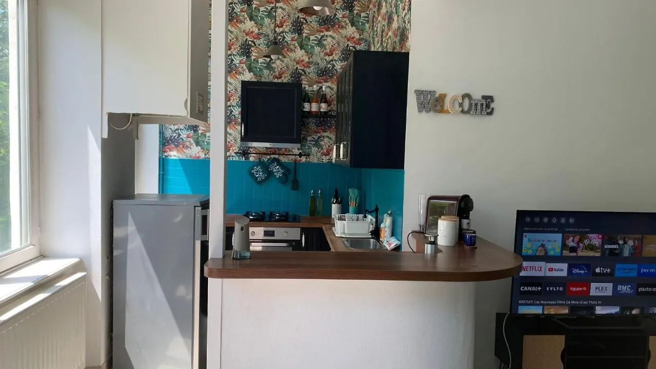 T3 Croix Rousse De 85M2 Apartment Lyon
