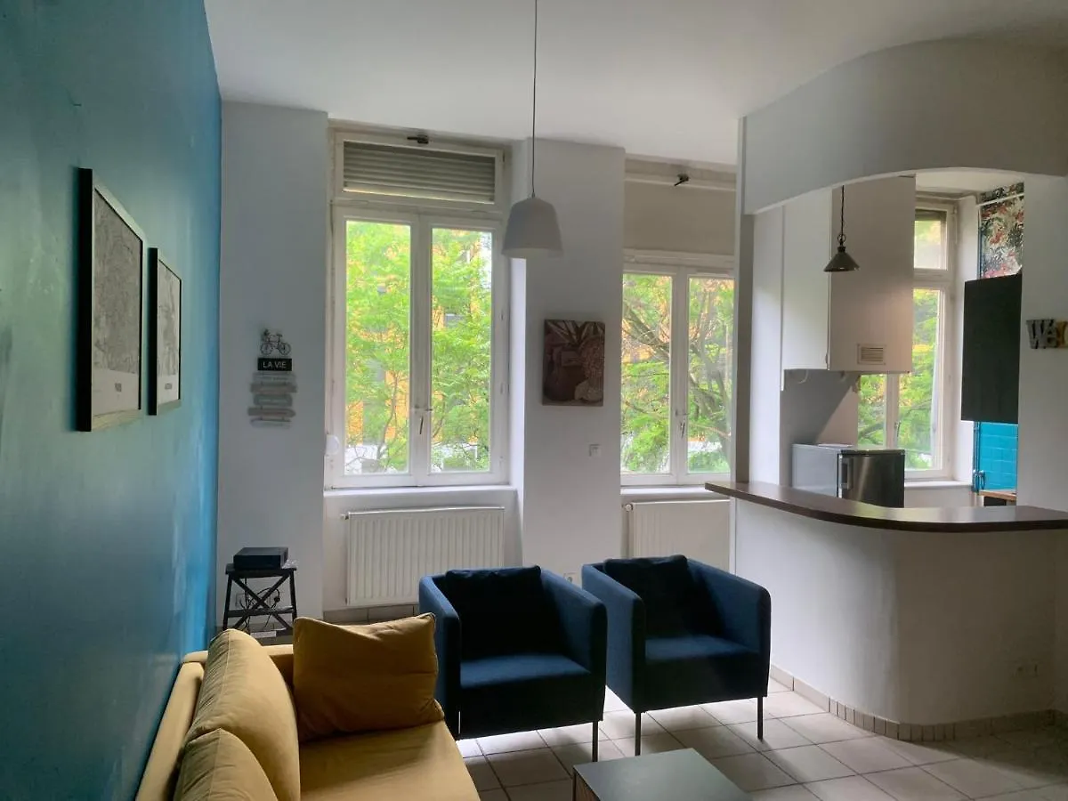 T3 Croix Rousse De 85M2 Apartment Lyon France